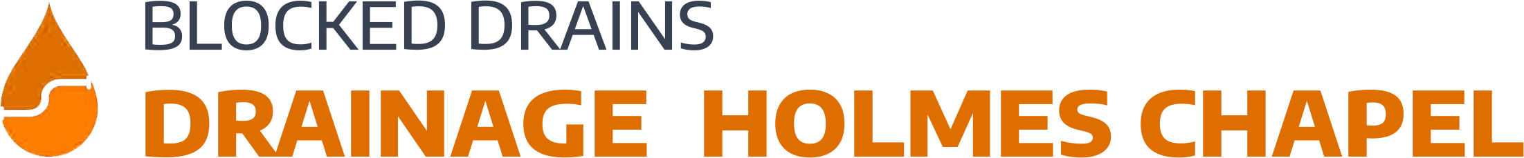 website logo